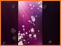 Pink Flower Gift Theme Launcher related image