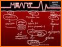 Harrison's Self-Assessment and Board Review, 19E related image