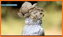 EcoGuide: Russian Fungi related image