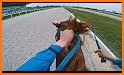 Horse Racing World - Show Jumping Stable Simulator related image