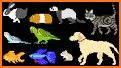 Dogs & Cats Puzzles for kids & toddlers 2 🐱🐩 related image