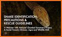 Global Snake Identification and Education related image