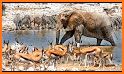 Wild Waterhole related image