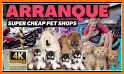 Pet Store-Buy and Sell Dog Cat related image