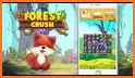 Animal Crush : Forest Friend related image