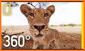 VR Safari Tour: Adventure Sites (Google Cardboard) related image