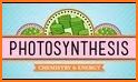 Photosynthesis related image