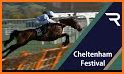 Cheltenham Horse Racing related image