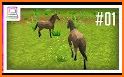 Summer Horse Simulator – Horse Riding Simulator 3D related image