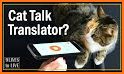 MeowTalk related image