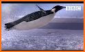 Penguin Travel: Slide! related image