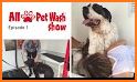 All Paws Pet Wash related image