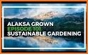 Alaska Grown related image