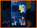 Master Hexa Puzzle Blocks related image