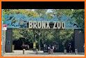 Bronx Zoo App Free related image