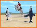 Jumpy Horse Show Jumping related image