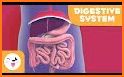 The Digestive System, 2nd Ed. related image