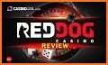 Red Dog Casino Mobile Game related image