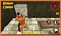 Grand Jail Break Prison Escape Mission 2019 related image