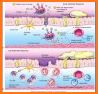 Respiratory Disease related image