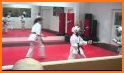 Ingrams Karate Center related image