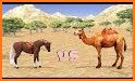 Animal Racing - 4 Players Camel Races related image