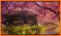 Beautiful Wallpaper Cherry Blossom Blizzard Theme related image