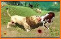 Jungle Lion Simulator: Lion Attack Animal Games related image