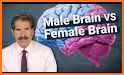 Male brain? Female brain? related image