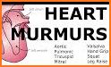 Heart Murmurs related image