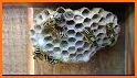 Wasp Nest Simulator Full related image