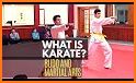 Digital Dojo Karate Training related image