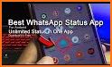 Full Video Status & Downloader For Whatsapp related image