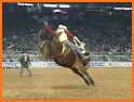 Cowboy Rodeo Horse Rider related image