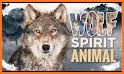 Wolf Of Spirit related image