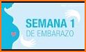 Embarazo Semana a Semana related image