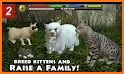 Ultimate Cat Simulator: Virtual Pet Free Cat Games related image