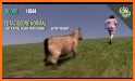 Virtual Goat Lifestyle Sim related image