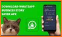 Story Saver For WhatsApp Business related image