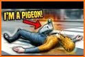 Thug Life Pigeon Simulator - Birds Simulator 2020 related image