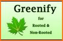 Greenfly related image