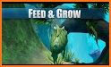 Guide For Fish feed And Grow New related image