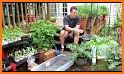 All About Container Gardening related image