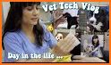 Veterinary Technician related image