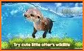 Wildlife Simulator: Shark related image