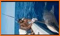 Wild Shark Fishing related image