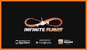 Infinite Flight Crew related image