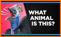 Guess the Animals Quiz 2021 related image