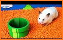 Hamster Maze related image