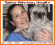 Radnor Vet related image